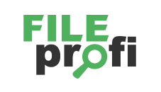 FileProfi - профессиональное восстановление данных в Курске